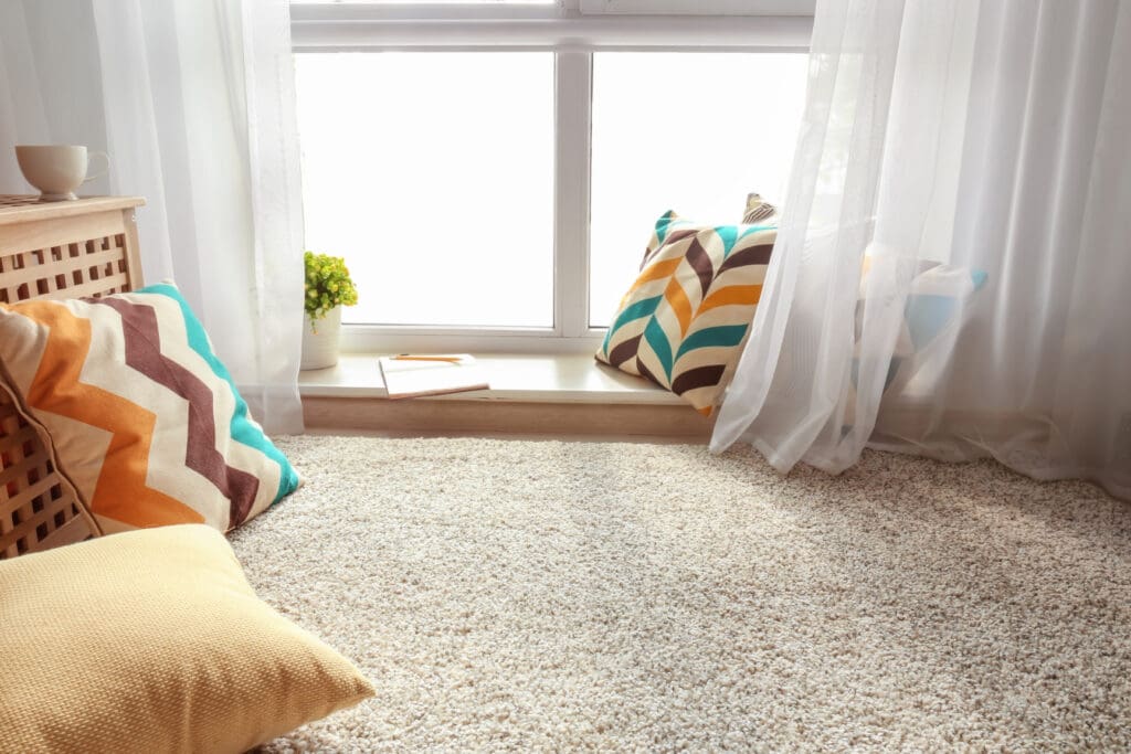 A cozy room with a plush beige carpet, colorful patterned pillows, and sheer curtains framing a bright window. A potted plant and an open book rest on the windowsill, creating a peaceful, sunlit corner.