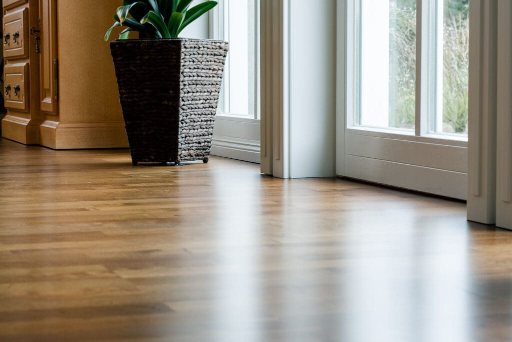 A sunlit room with wooden flooring features a tall potted plant near large glass doors. Textured walls and a cabinet with brass handles are visible in the background.